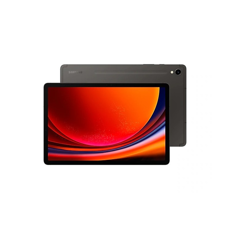 Samsung Galaxy Tab S9 Sm-X716B 5G 128